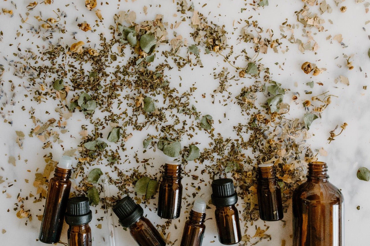 Plantas Medicinales: Qué son y para qué sirven - Ritualic