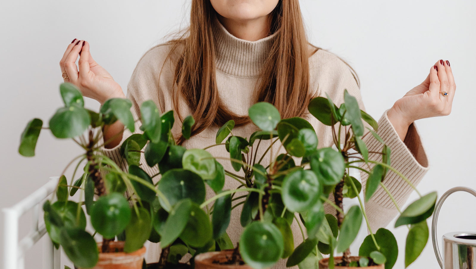 Soltando el estrés y la ansiedad con plantas. - Ritualic