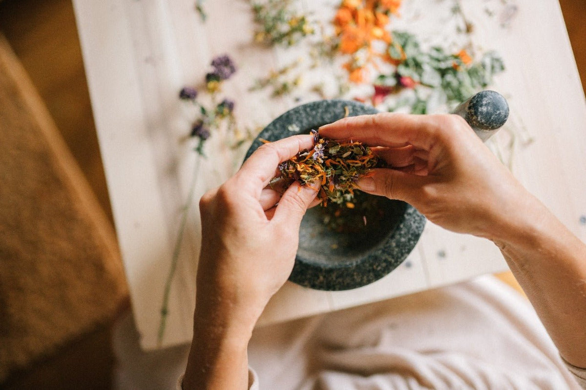 5 usos prácticos con Plantas Aromáticas. - Ritualic