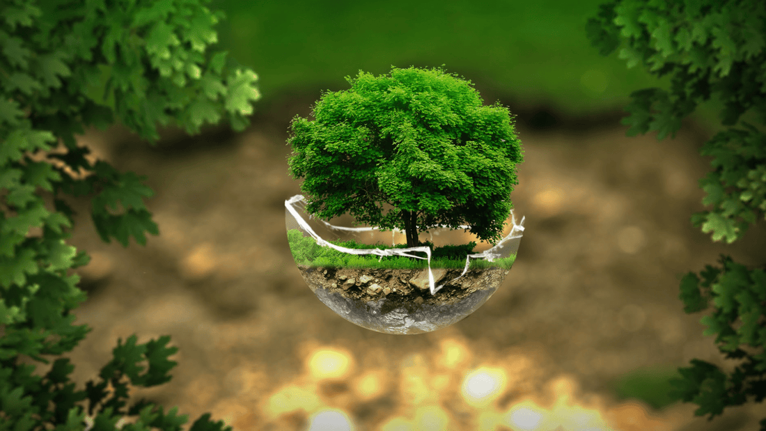 Cómo reducir el impacto ambiental de tu rutina capilar - Ritualic