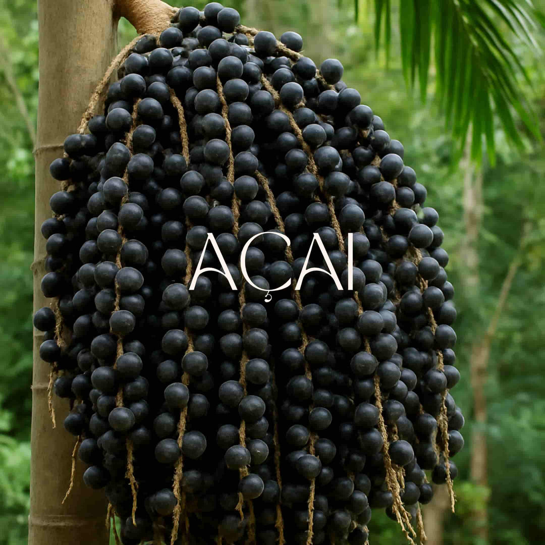 Crema Manos y Cuerpo Antioxidante, Humectante y Anti Envejecimiento de Açai