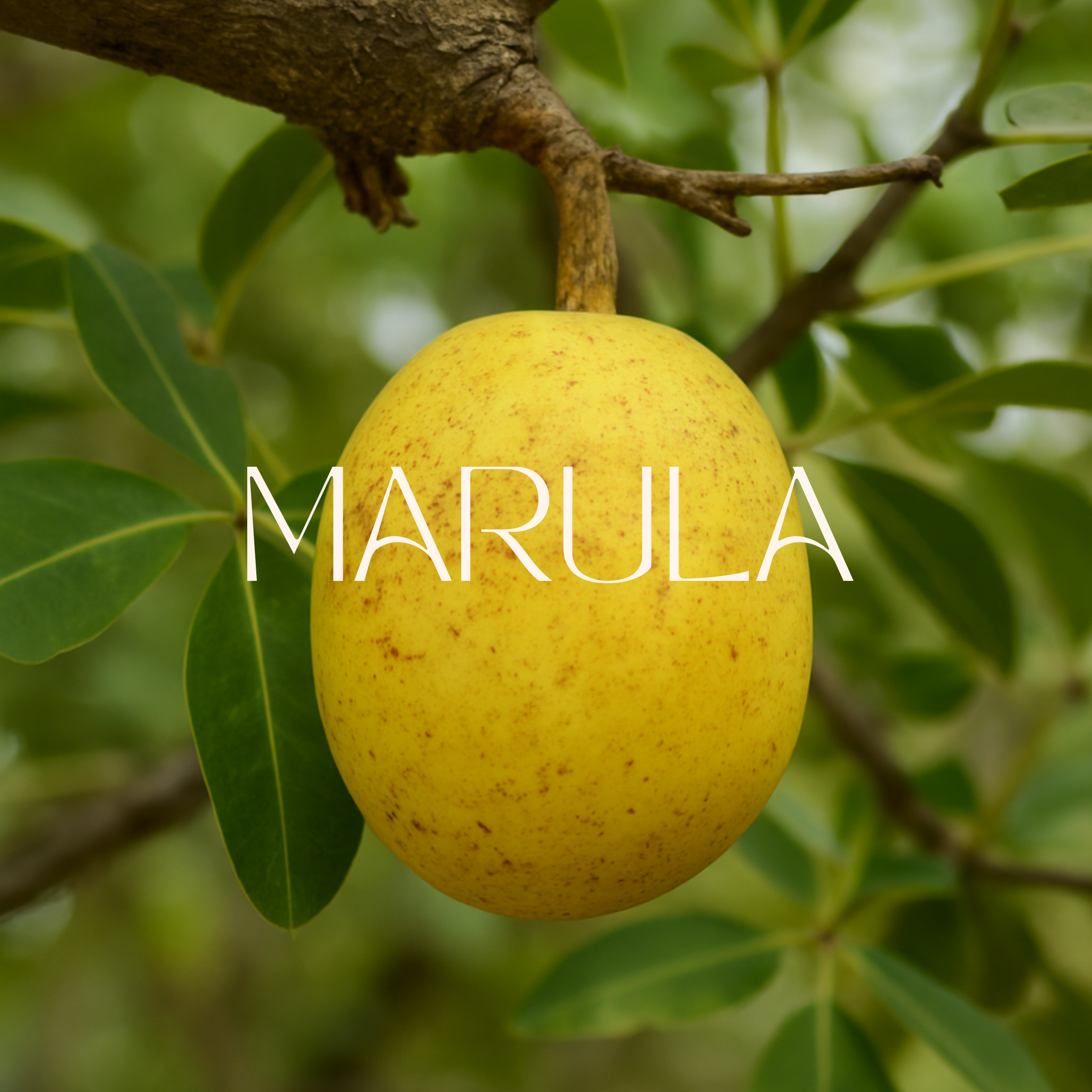 PRE ORDEN - Crema Manos y Cuerpo Antioxidante, Humectante y Anti Envejecimiento de Açai